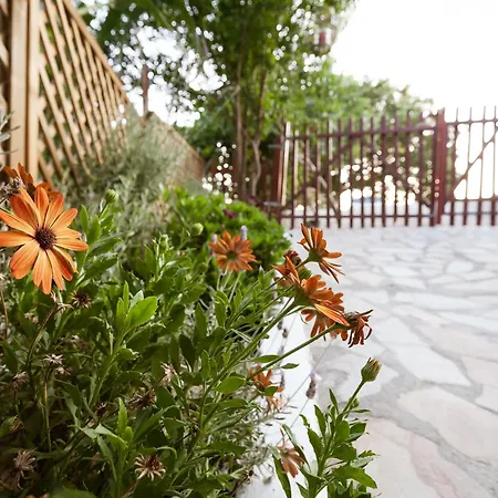 Serenity Studio For Couples Ασγούρου Εξωτερικό φωτογραφία